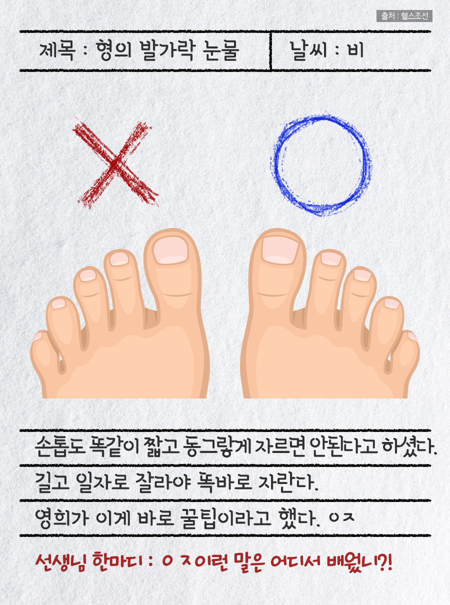 제목 : 형의 발가락 눈물 / 날씨 : 비 / 손톱도 똑같이 짧고 동그랗게 자르면 안된다고 하셨다. 길고 일자로 잘라야 똑바로 자란다. 영희가 이게 바로 꿀팁이라고 했다. ㅇㅈ / 선생님 한마디 : ㅇㅈ 이런 말은 어디서 배웠니?!
