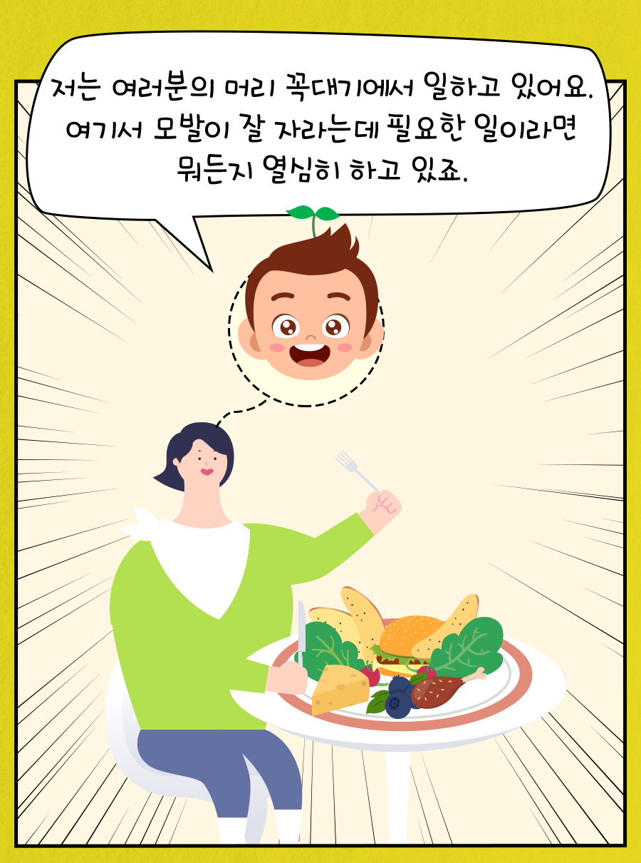 저는 여러분의 머리 꼭대기에서 일하고 있어요. 여기서 모발이 잘 자라는데 필요한 일이라면 뭐든지 열심히 하고 있죠.