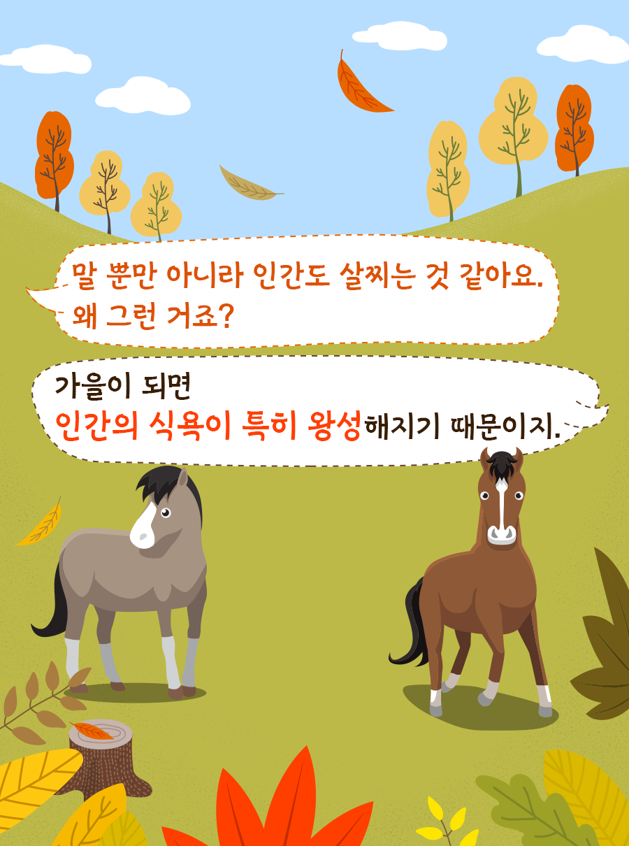 Q: 말 뿐만 아니라 인간도 살찌는 것 같아요. 왜 그런거죠? A: 가을이 되면 인간의 식욕이 특히 왕성해지기 때문이지.