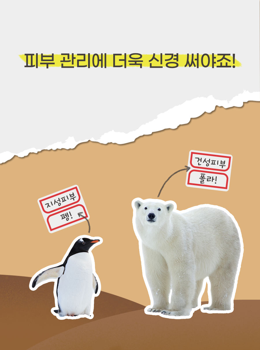 피부 관리에 더욱 신경 써야죠!