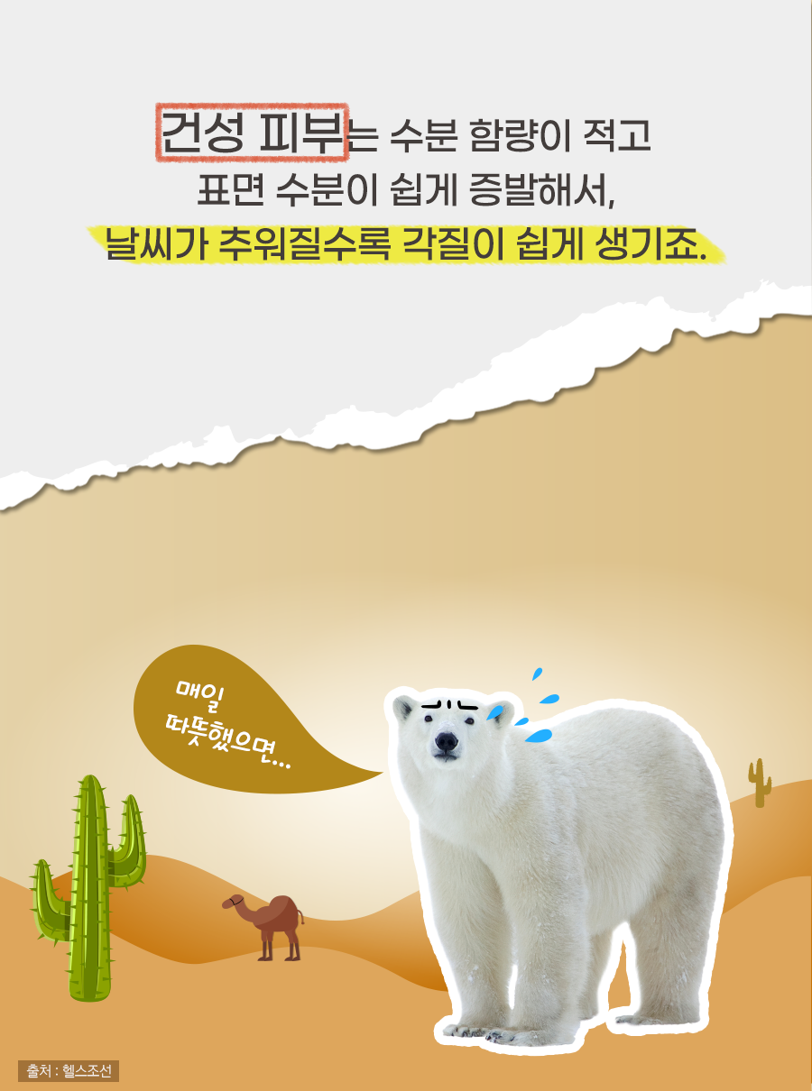 건성 피부는 수분 함량이 적고 표면 수분이 쉽게 증발해서, 날씨가 추워질수록 각질이 쉽게 생기죠.