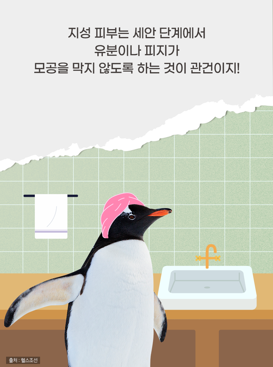 지성 피부는 세안 단계에서 유분이나 피지가 모공을 막지 않도록 하는 것이 관건이지!