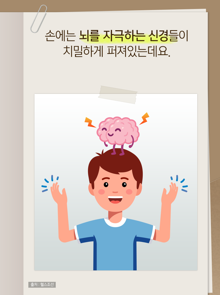 손에는 뇌를 자극하는 신경들이 치밀하게 퍼져있는데요.