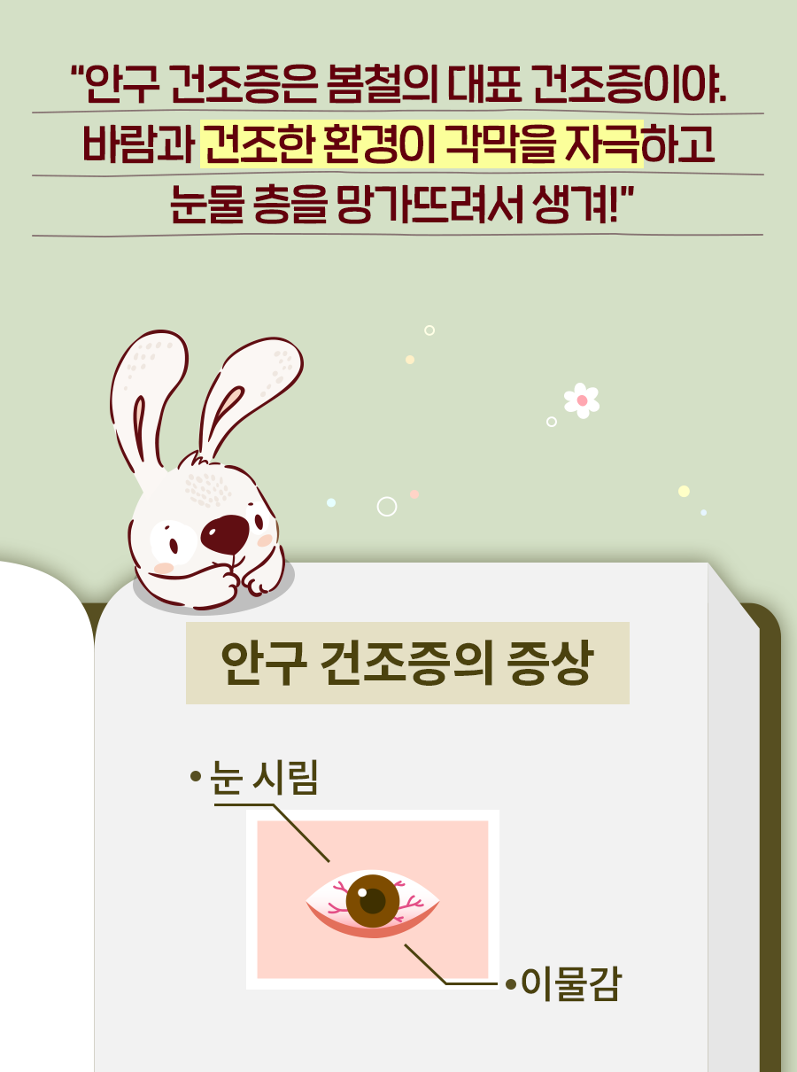 토끼: 안구 건조증은 봄철의 대표 건조증이야. 바람과 건조한 환경이 각막을 자극하고 눈물 층을 망가뜨려서 생겨! 안구 건조증의 증상 - 눈 시림, 이물감