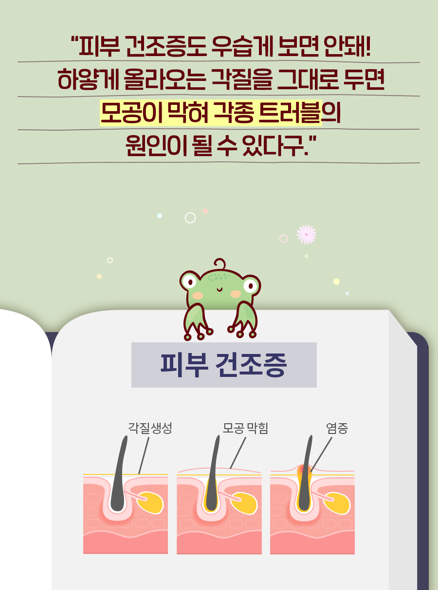 개구리: 피부 건조증도 우습게 보면 안돼! 하얗게 올라오는 각질을 그대로 두면 모공이 막혀 각종 트러블의 원인이 될 수 있다구. 피부 건조증 - 각질생성, 모공막힘, 염증