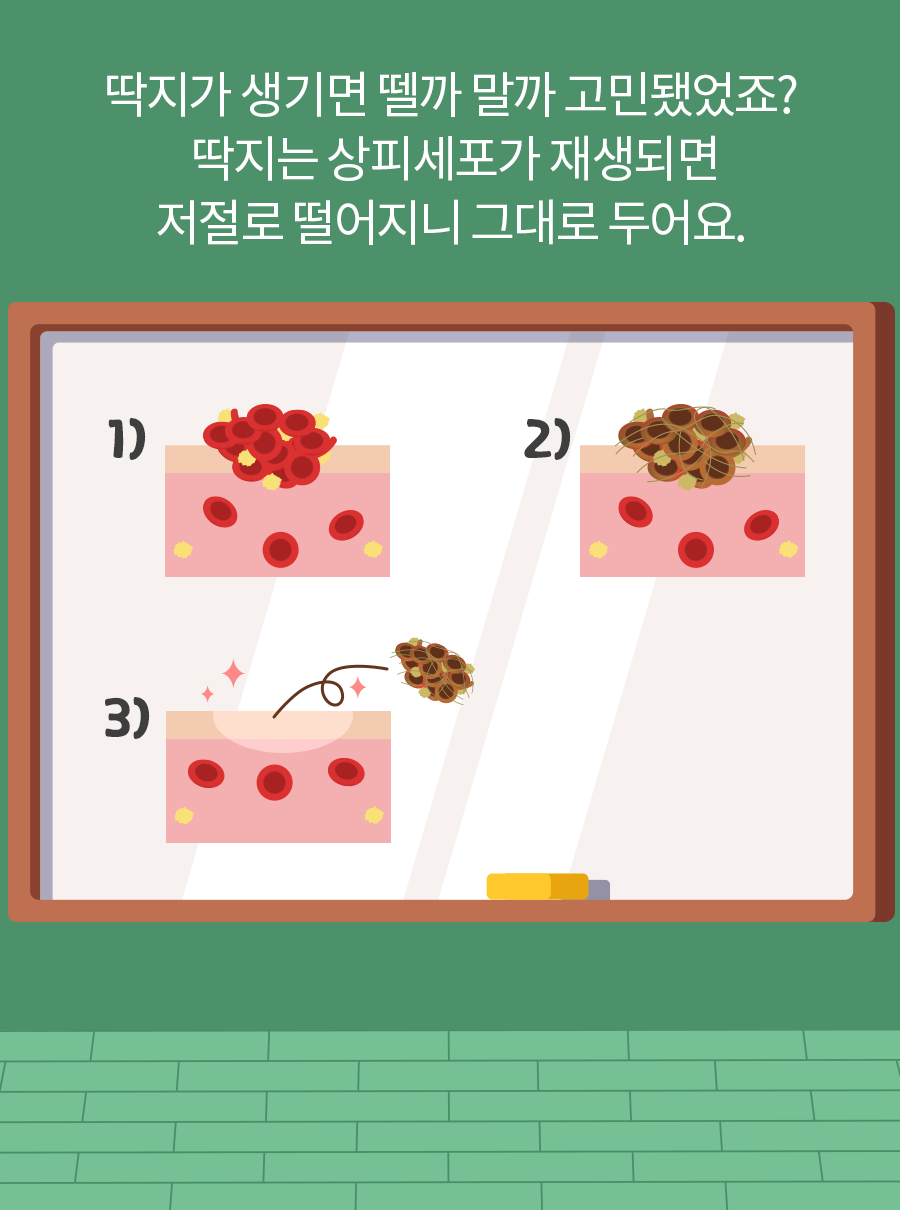 딱지가 생기면 뗄까 말까 고민됐었죠? 딱지는 상피세포가 재생되면 저절로 떨어지니 그대로 두어요.