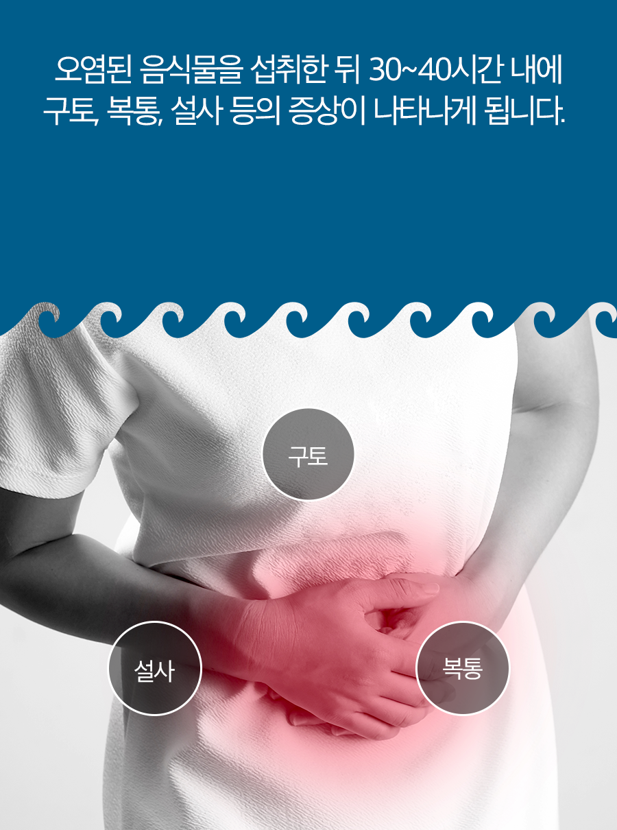 오염된 음식물을 섭취한 뒤 30~40시간 내에 구토, 복통, 설사 등의 증상이 나타나게 됩니다.