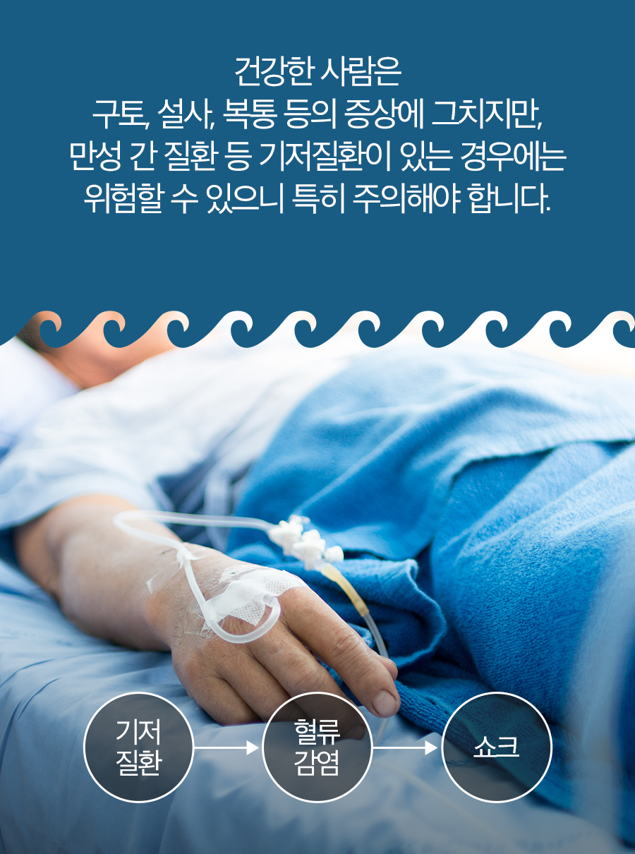 건강한 사람은 구토, 설사, 복통 등의 증상에 그치지만, 만성 간질환 등 기저질환이 있는 경우에는 위험할 수 있으니 특히 주의해야 합니다.(기저질환→혈류감염→쇼크)