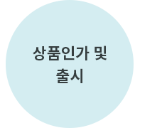 상품인가 및 출시